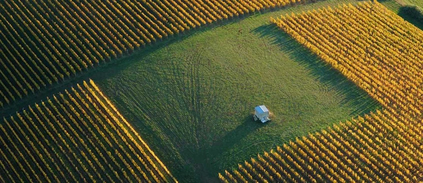 5 Questions to Ask your AgTech Provider About Data