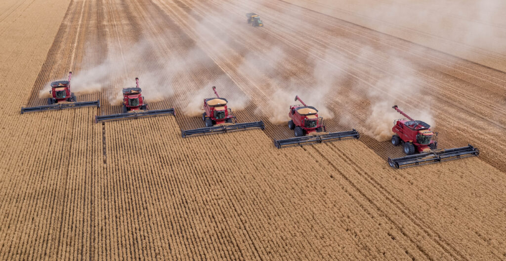 Low yields from wheat production? Here’s why.