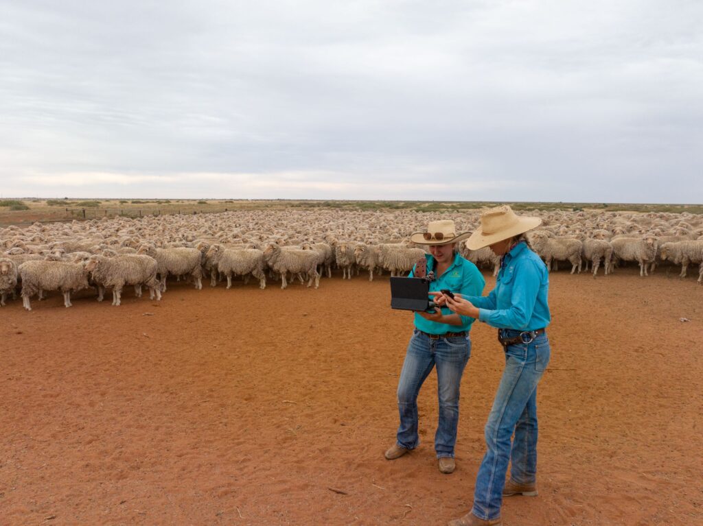 What farmers want: How to design decision support systems