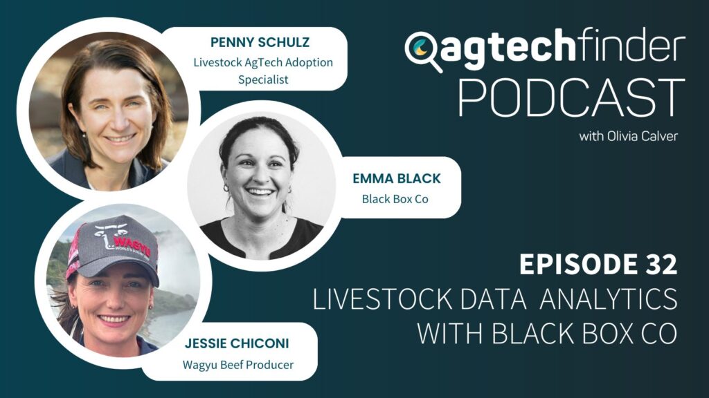 Ep 32: Talking Livestock Data Analytics