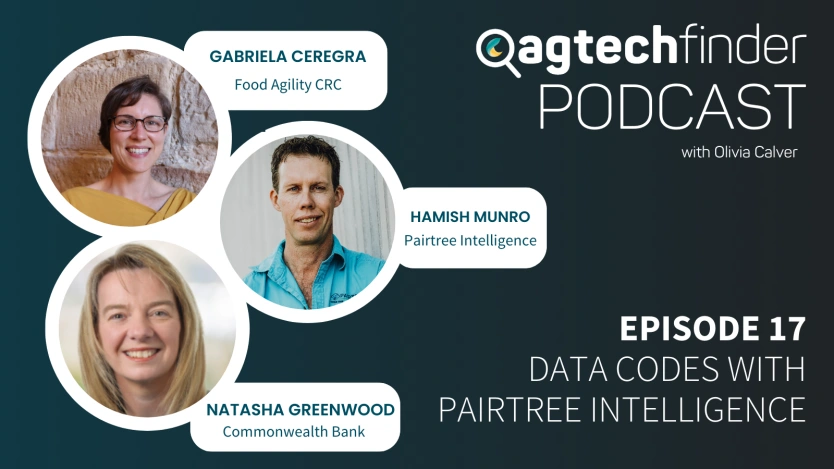 Ep 17: Data Codes with Pairtree Intelligence