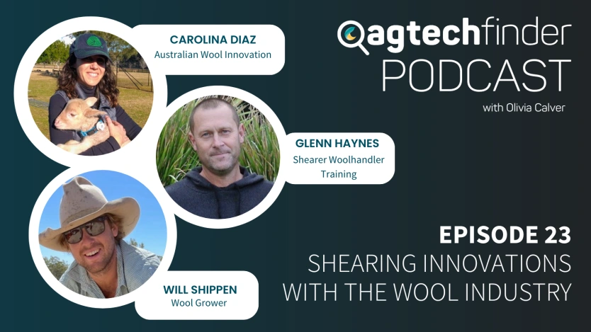 Ep 23: Shearing Innovations with The Wool Industry