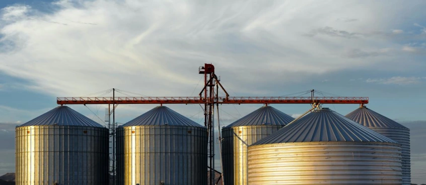 Grain Storage to Protect Quality