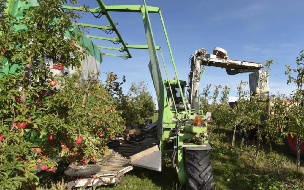Horticulture – Harvesting and Post Harvesting Solutions