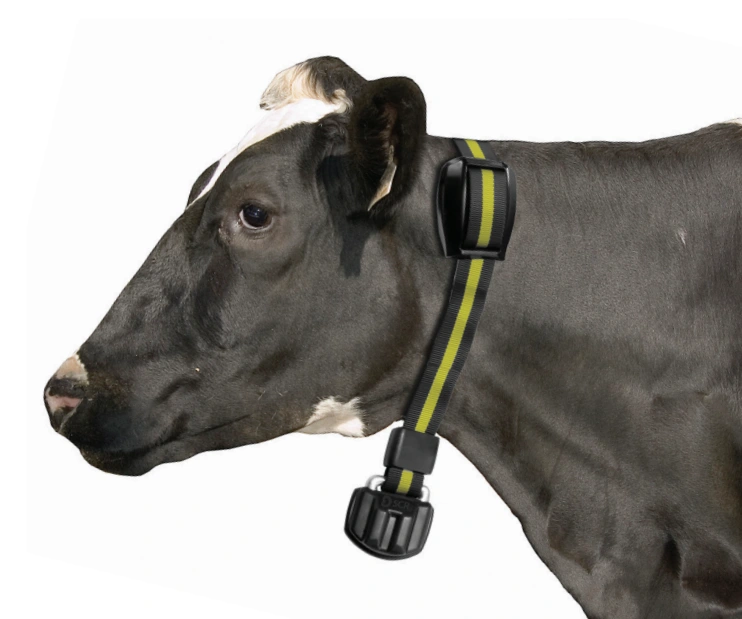Monitoring technologies delivering animal welfare outcomes