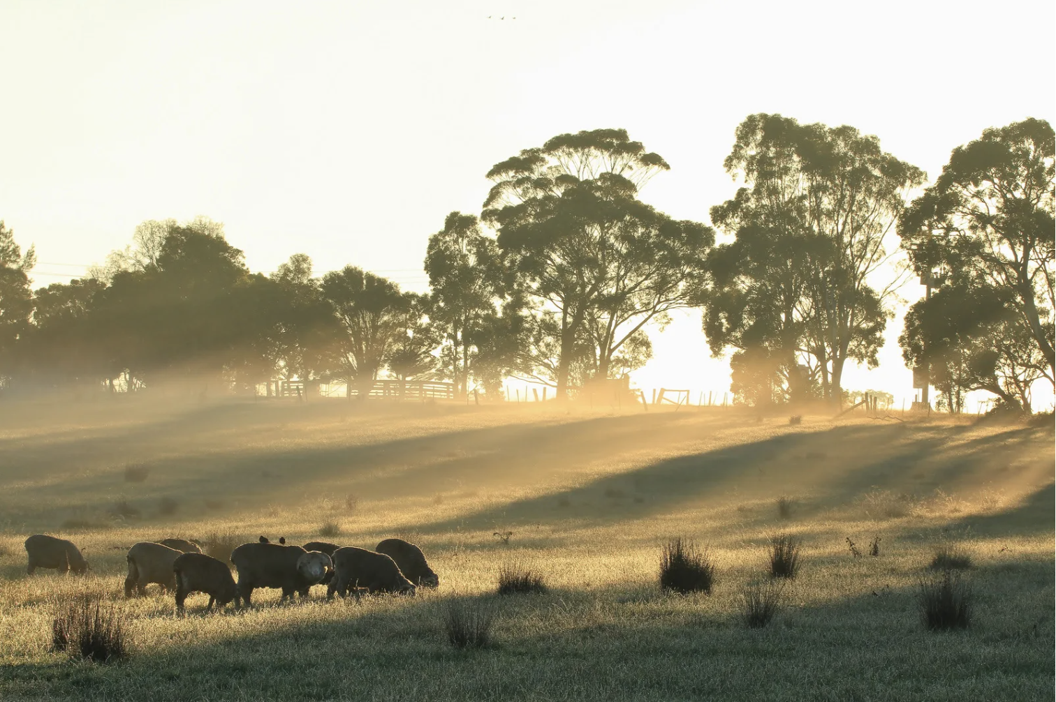 Regenerative Agriculture Conference