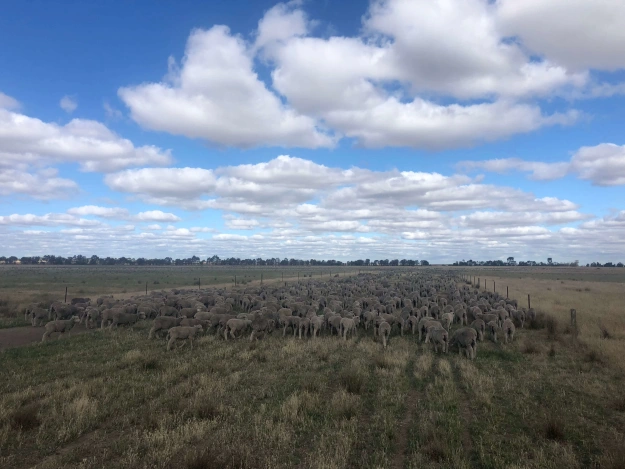 Farmers perspective on agtech: Andrew Whitlock