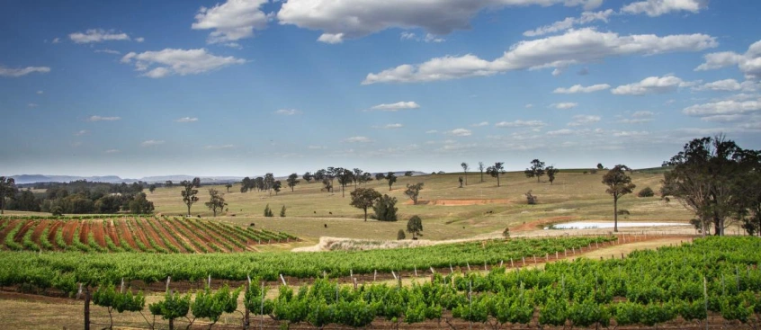 Approaching AgTech with a Problem or Goal