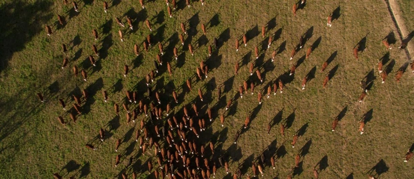Tech fuels growth in Queensland agriculture