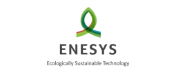 Enesys