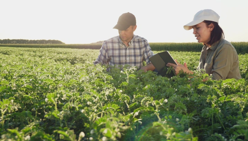 NFF Australian Farm Data Code