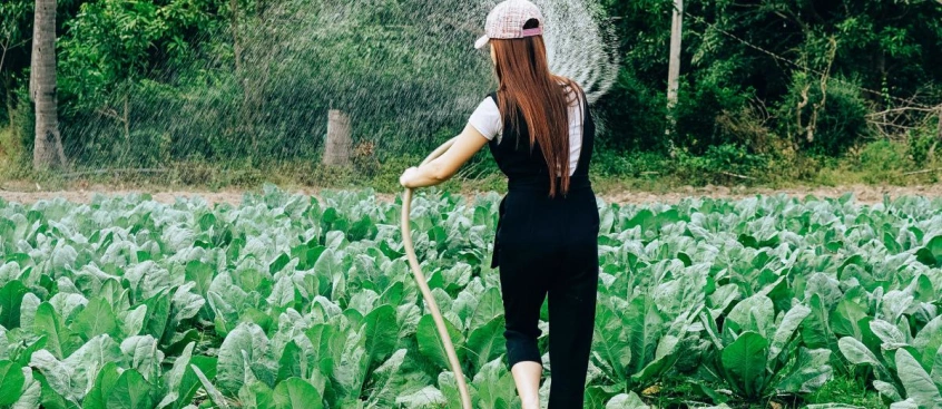 How to choose a soil moisture monitoring device